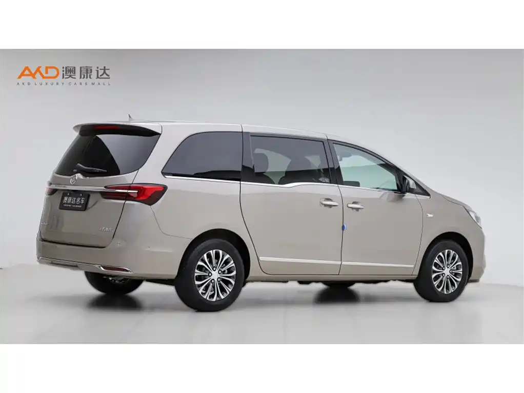 Buick GL8 2022 Land Business Class 652T Prestige фото 3