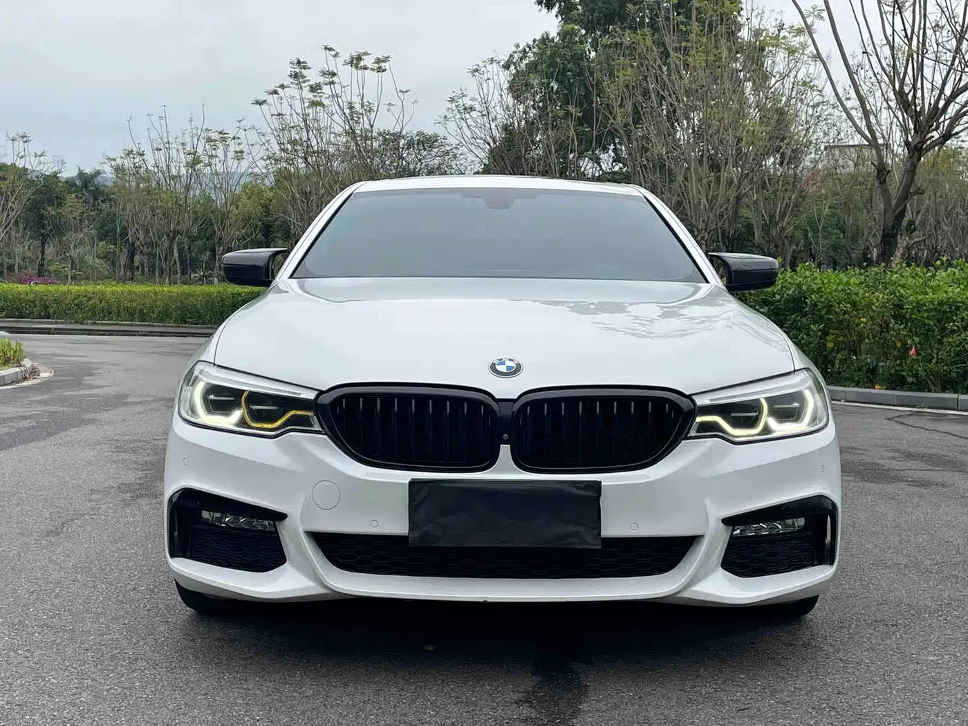BMW 5 Series 2018 530Li Leading M Sport Package фото 2