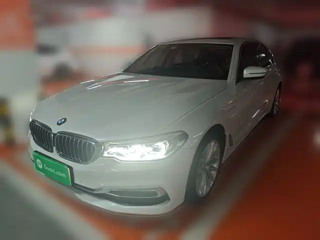 BMW 5 Series New Energy 2020