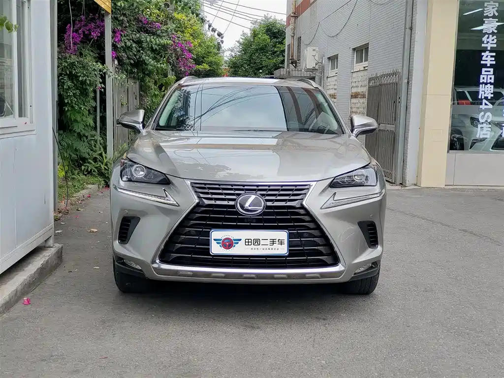 Lexus NX 2018 200 FWD Sharp Edition China VI фото 2