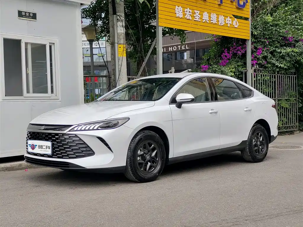 BYD Qin PLUS 2025 DM-i Smart Drive 55KM Leader