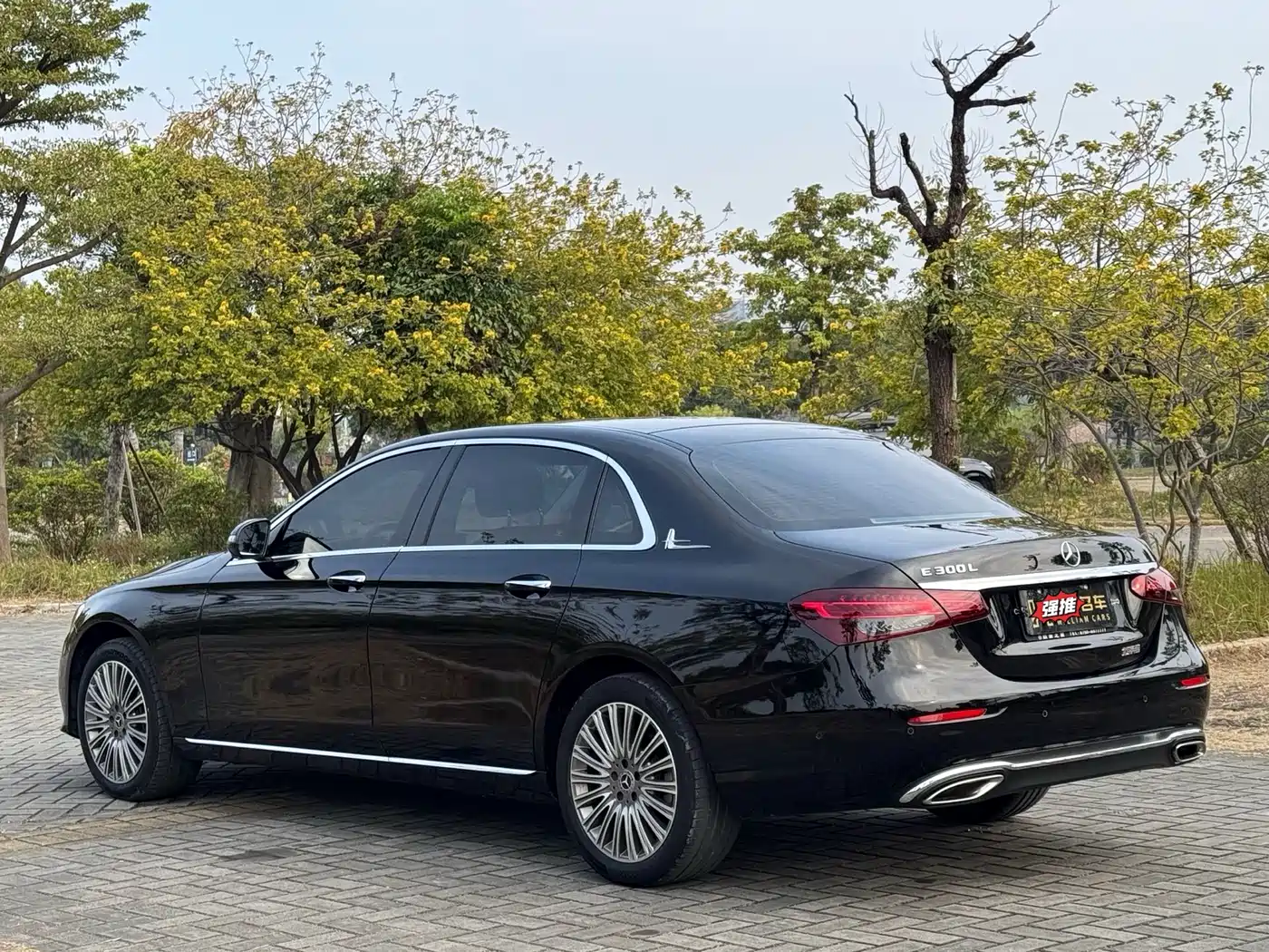 Mercedes-Benz E-Class 2021 E 300 L Luxury фото 6