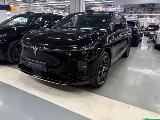 Voyah Auto Voyah Zhiyin 2025