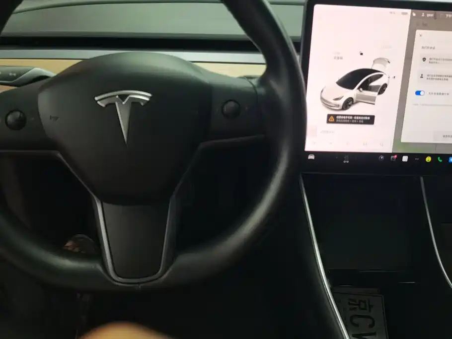 Tesla Model 3 (Import) 2019 2019 Long Range All-Wheel Drive Edition