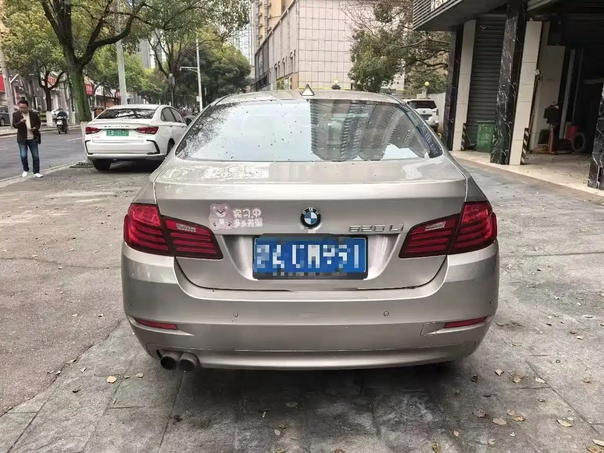 BMW 5 Series 2014 520Li Elegance фото 5
