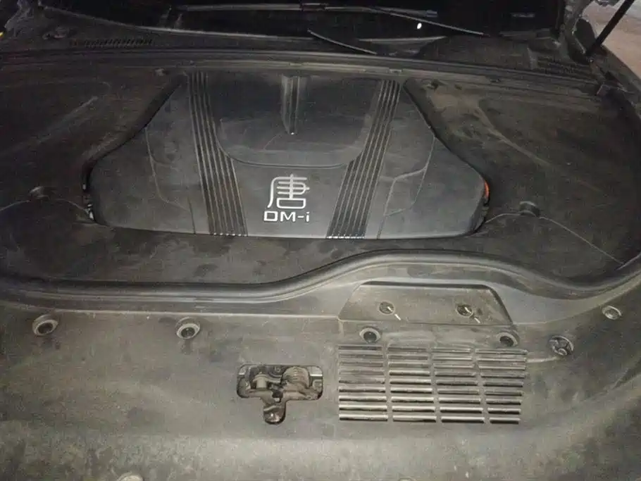BYD Tang New Energy 2025 DM-i 115KM Flagship фото 10