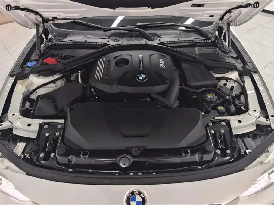 BMW 3 Series 2019 320Li Fashion Type фото 10
