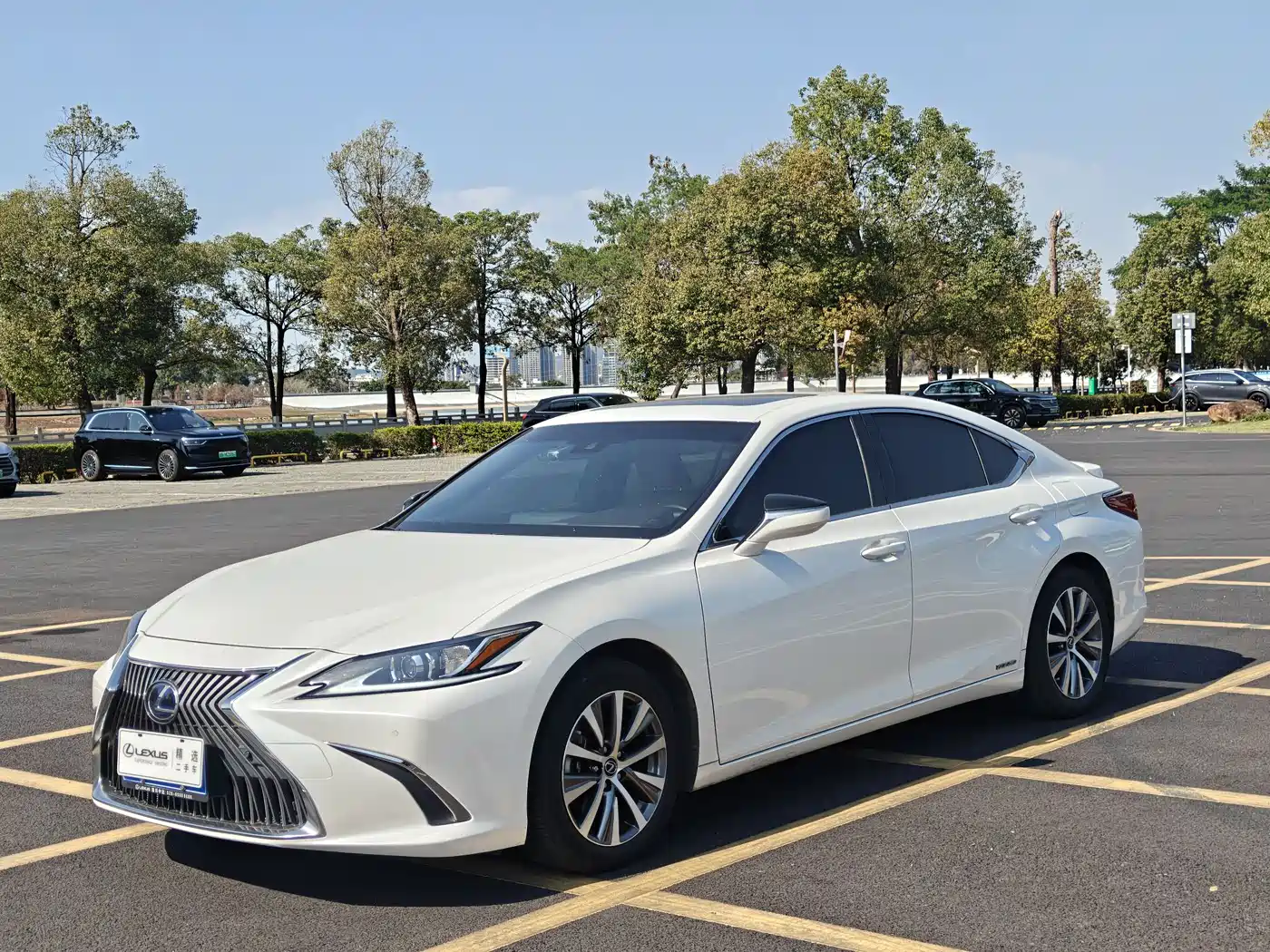 Lexus ES 2020 Model 300h Excellence Edition China V