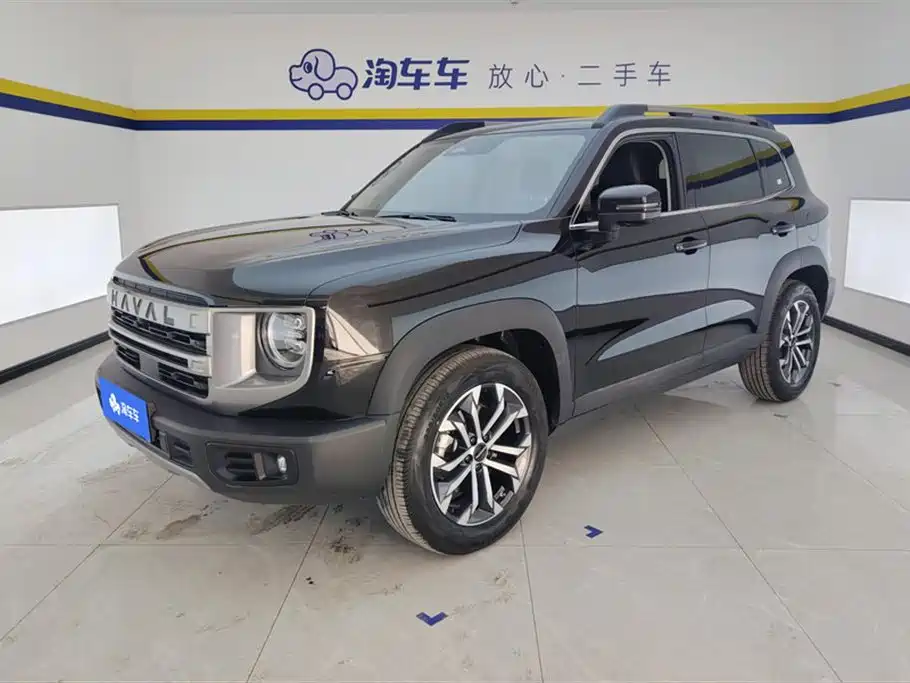 Haval Big Dog 2024 1.5T DCT Border Collie Edition