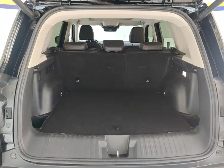 Haval Big Dog 2024 1.5T DCT Border Collie Edition фото 4