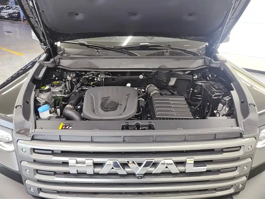 Haval Meng Long NEV 2024 Hi4 102 Pro фото 10