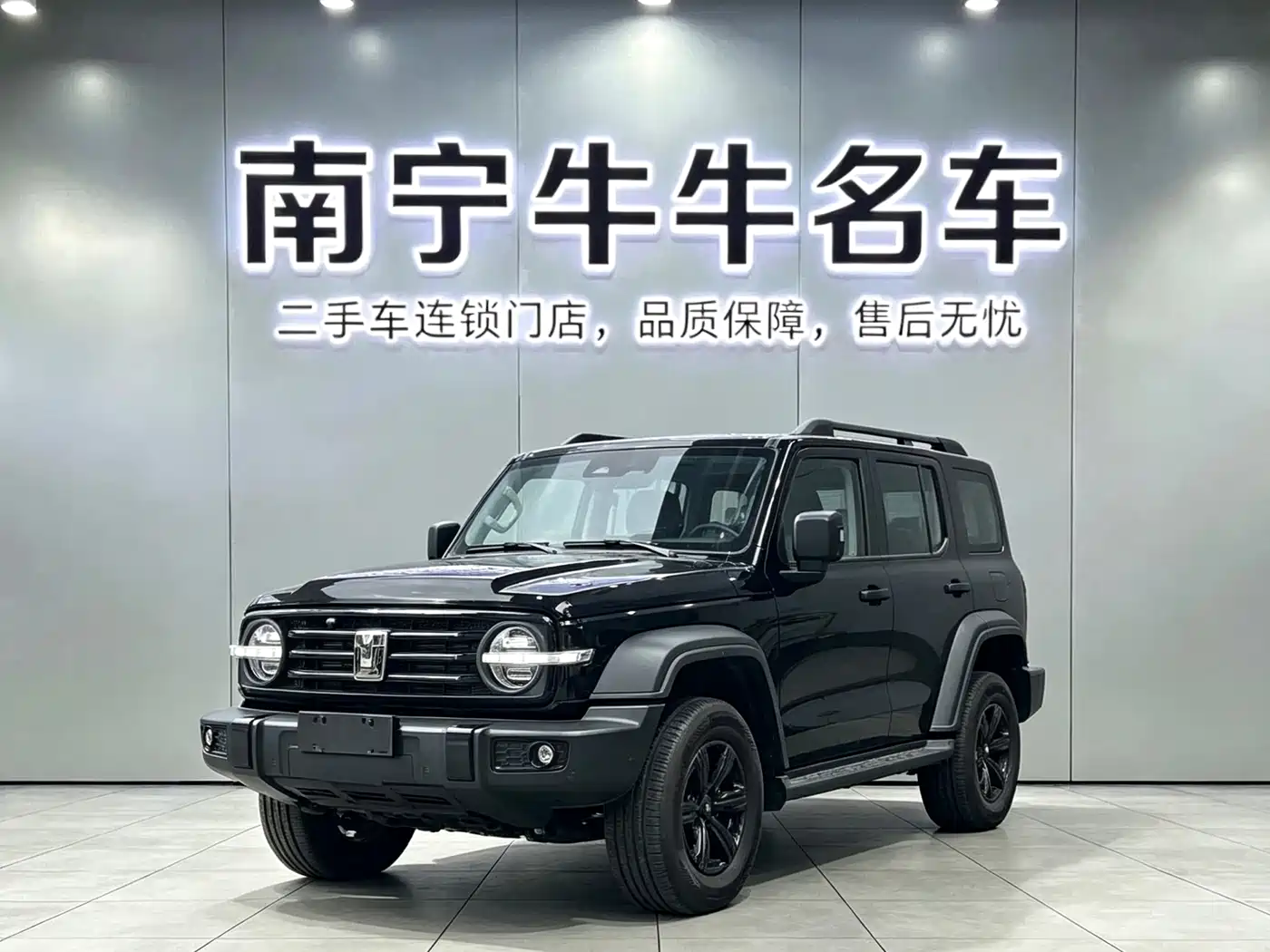 2026 Tank 300