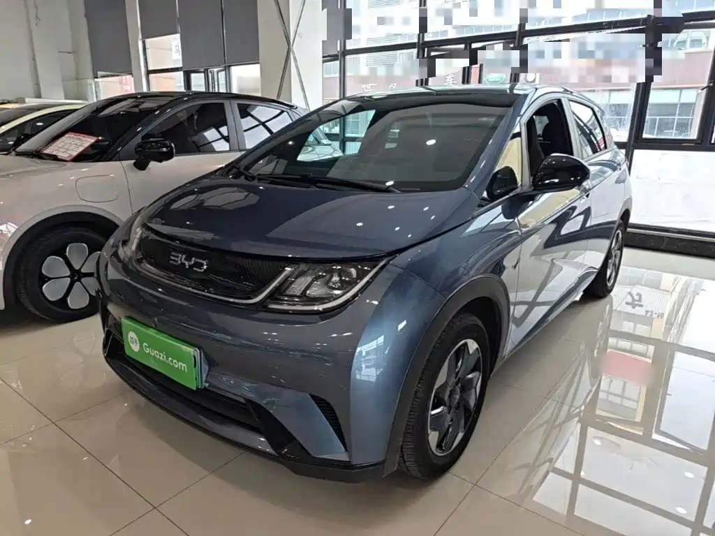 BYD Dolphin 2026 2025 420km Freedom Edition