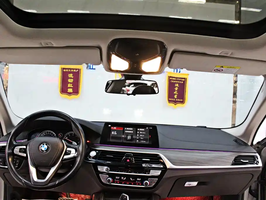 BMW 5 Series 2018 530Li Leading Luxury Package фото 11