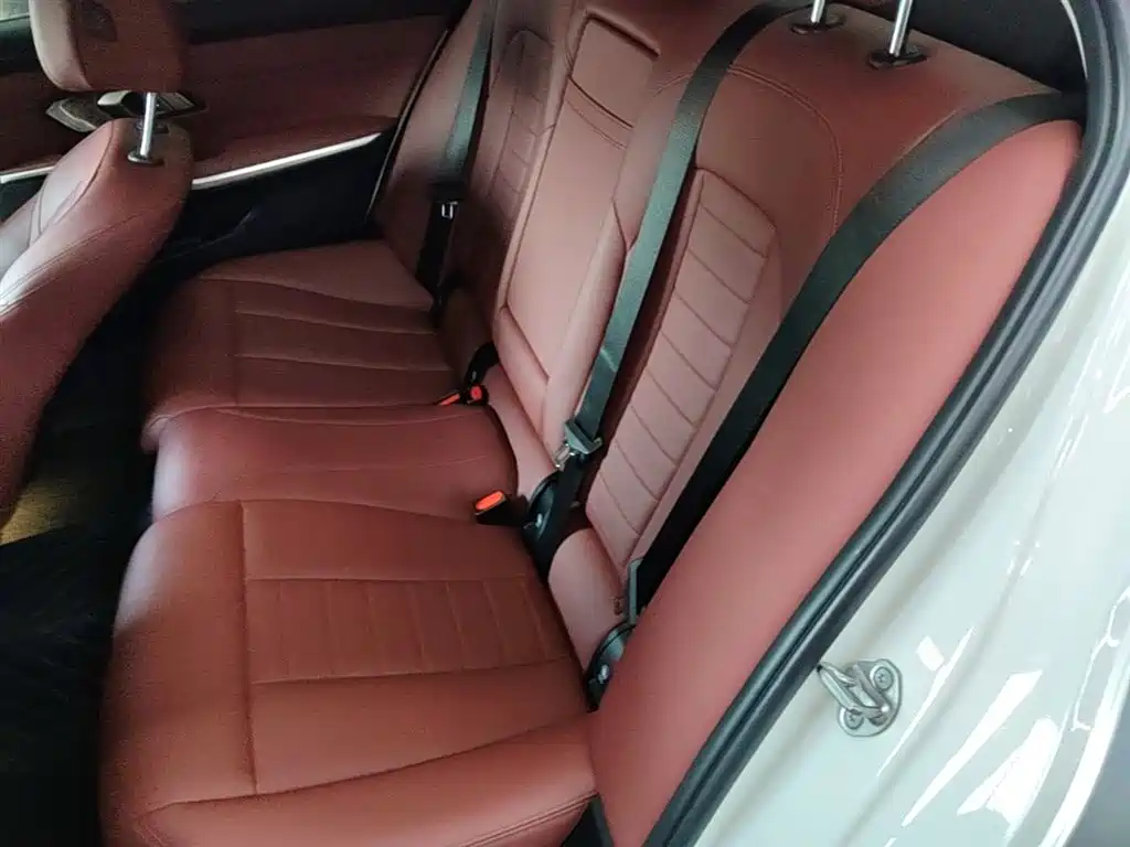 BMW 3 Series 2021 Facelift 325Li M Sport Shadow Edition фото 24