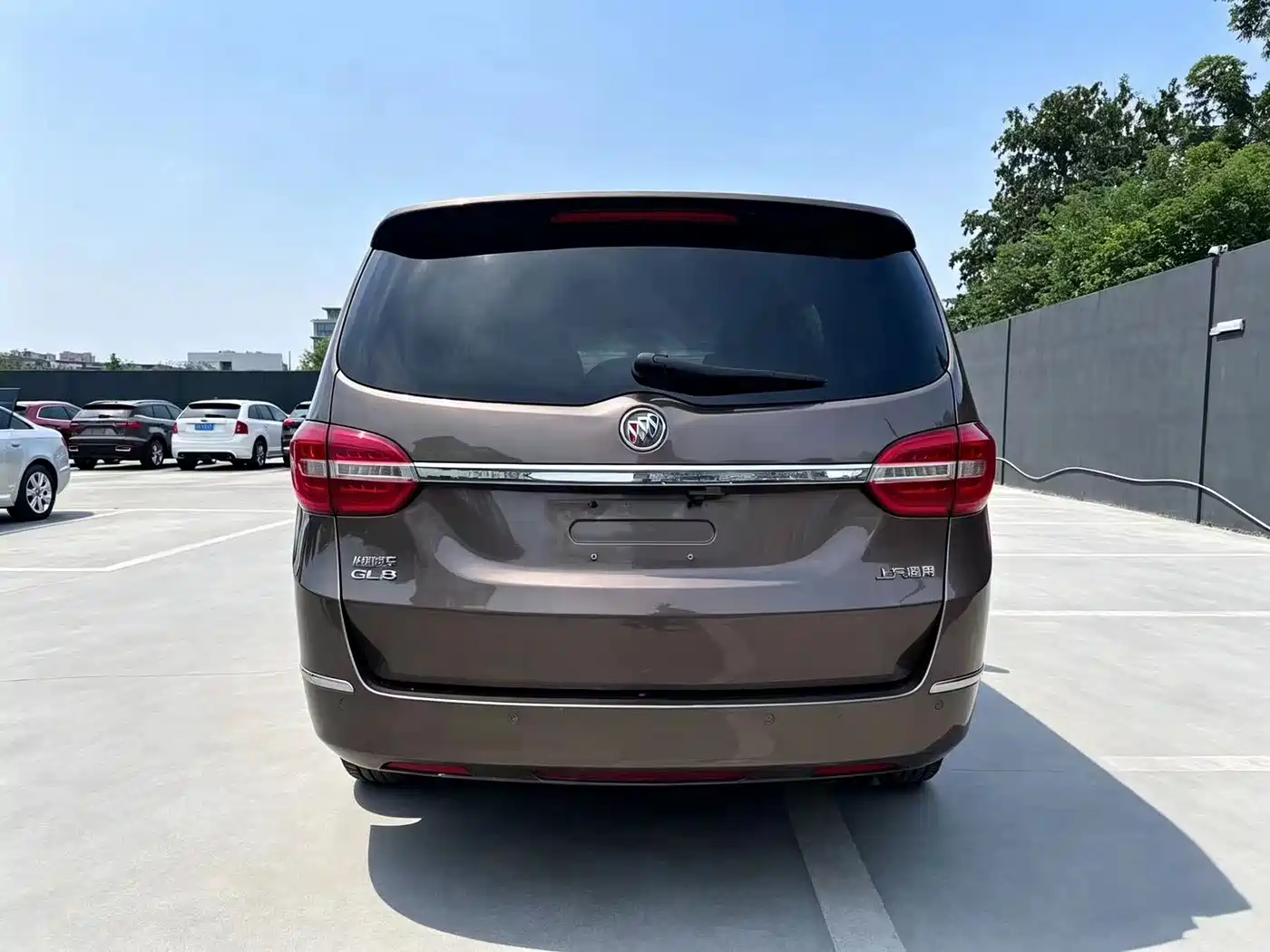 Buick GL8 2015 2.4L Luxury Business Exclusive Edition фото 5