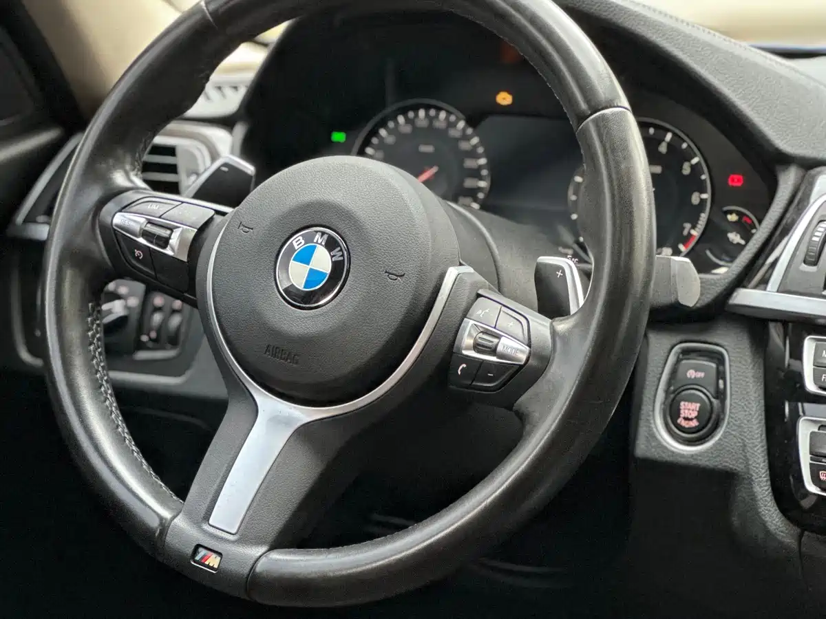BMW 3 Series 2019 320Li M Luxury Package фото 14