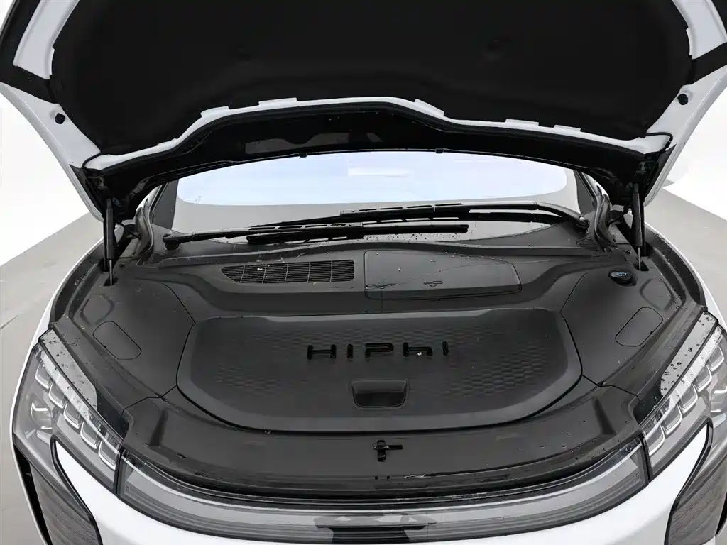 HiPhi X 2022 Smart Premium 6-Seater Long Range фото 18