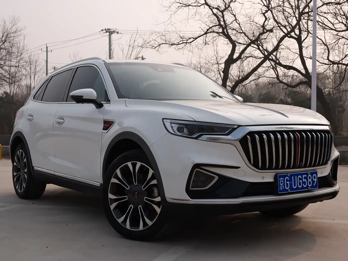 Hongqi HS5 2019 2.0T Smart Connect Enjoy 4WD Edition
