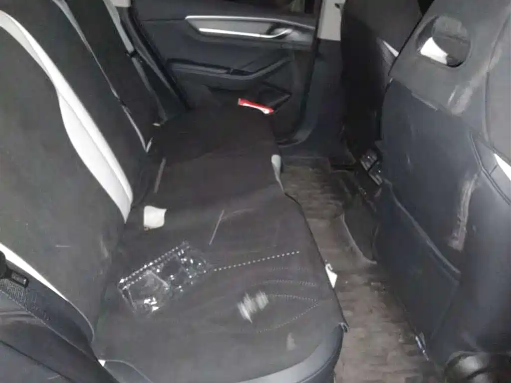 BYD Destroyer 05 2024 Glory Edition DM-i 55KM Luxury фото 4