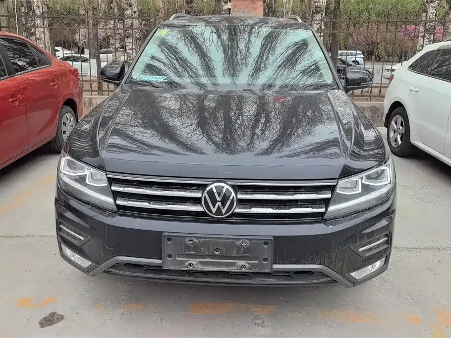 Volkswagen Tiguan L 2021 330TSI Automatic 2WD Smart фото 2