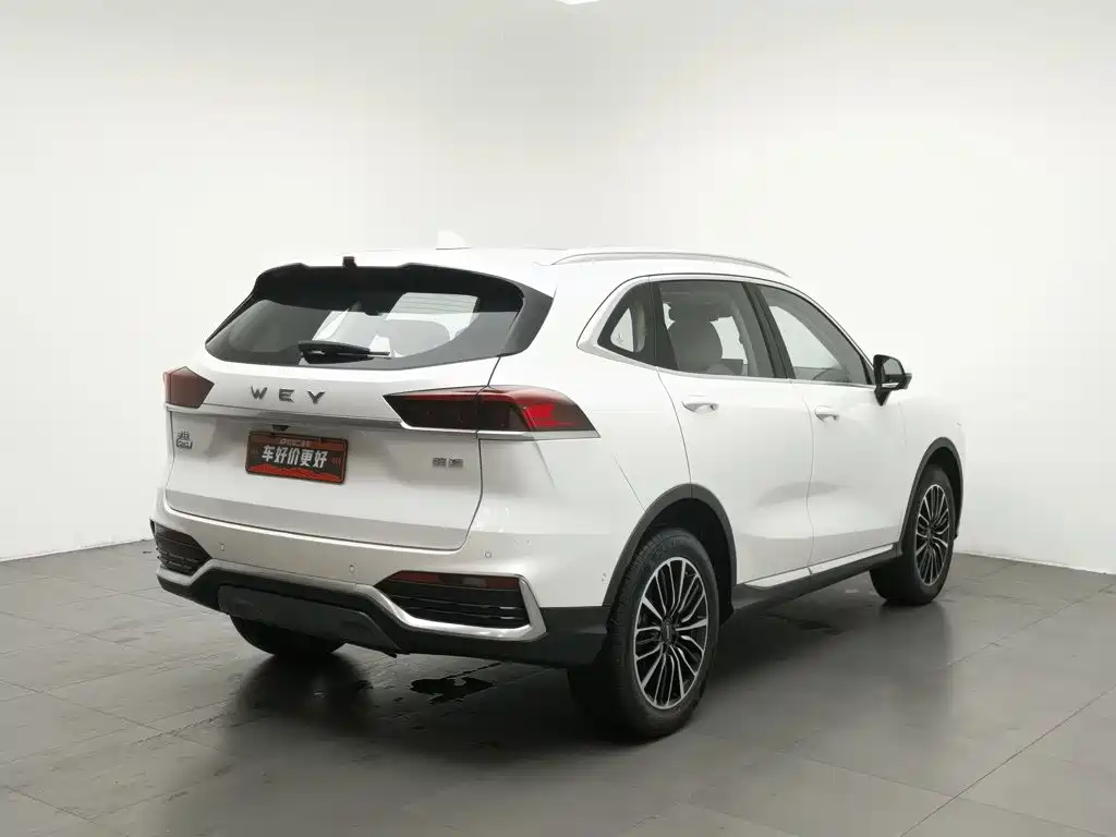 WEY Latte DHT 2022 2022 1.5T DHT Large