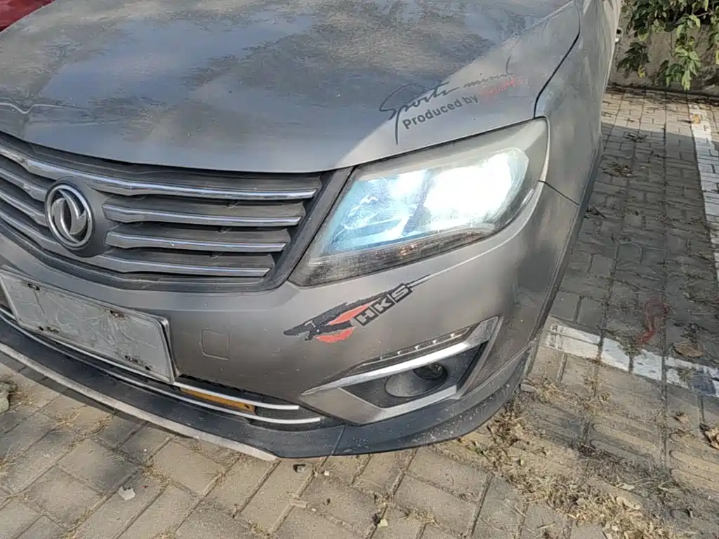 Dongfeng Fengxing Fengxing S500 2016 2016 1.5L Manual Luxury