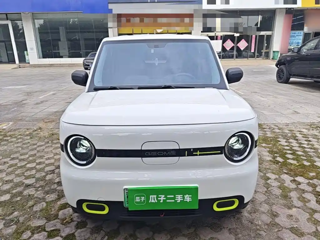 Geely Galaxy Panda 2025 2025 Panda mini 210km Vitality Bear