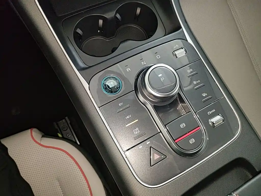 BYD Destroyer 05 2023 Champion Edition DM-i 55KM Luxury фото 14
