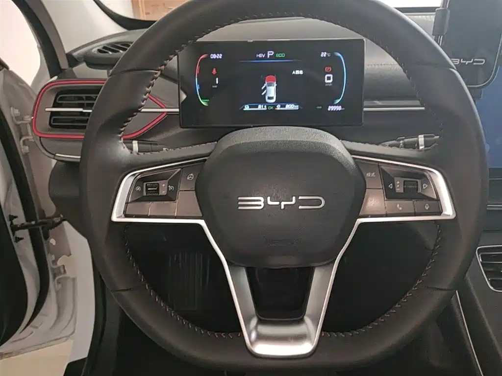 BYD Destroyer 05 2023 Champion Edition DM-i 55KM Luxury фото 11