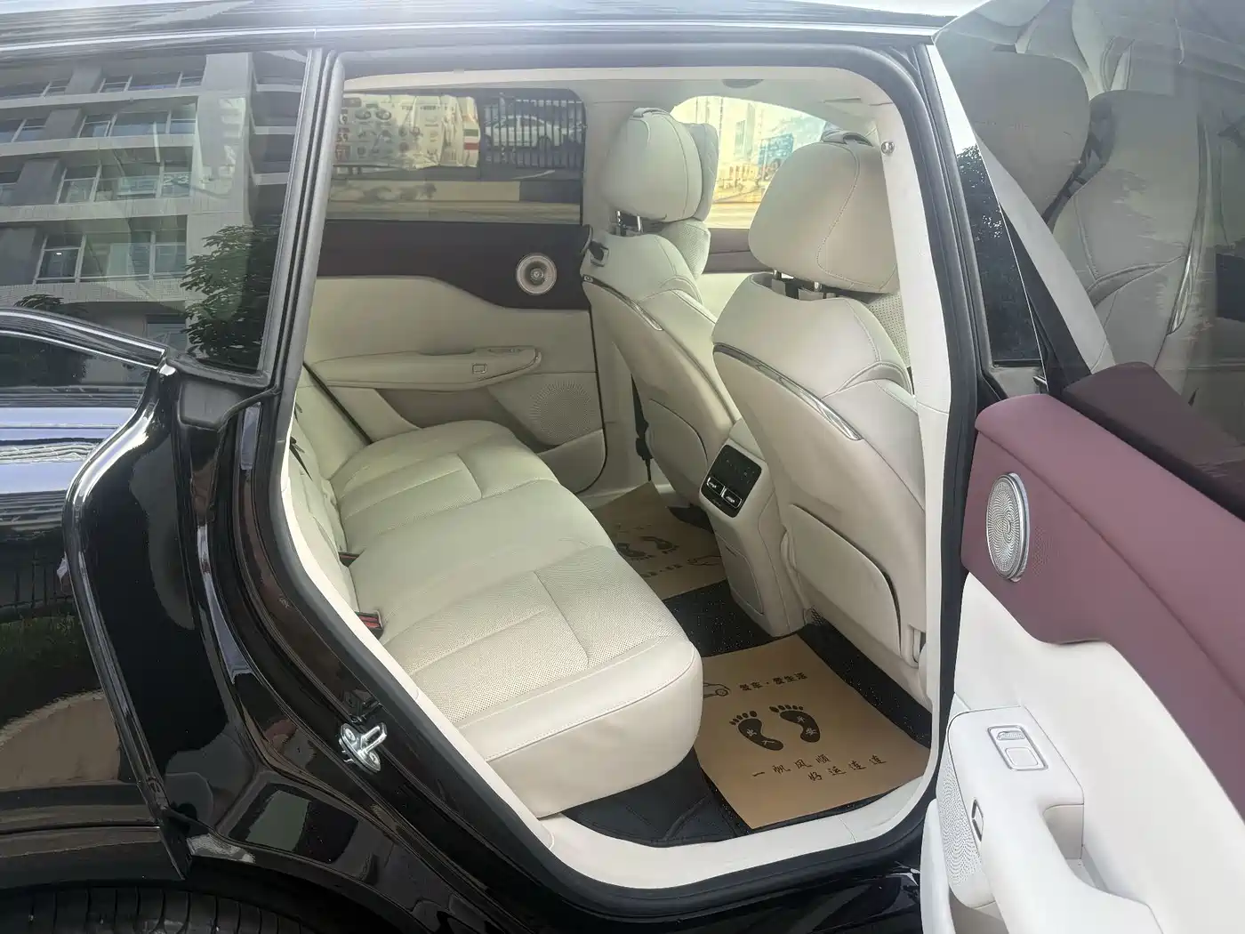 2025 Voyah Auto Voyah Zhiyin