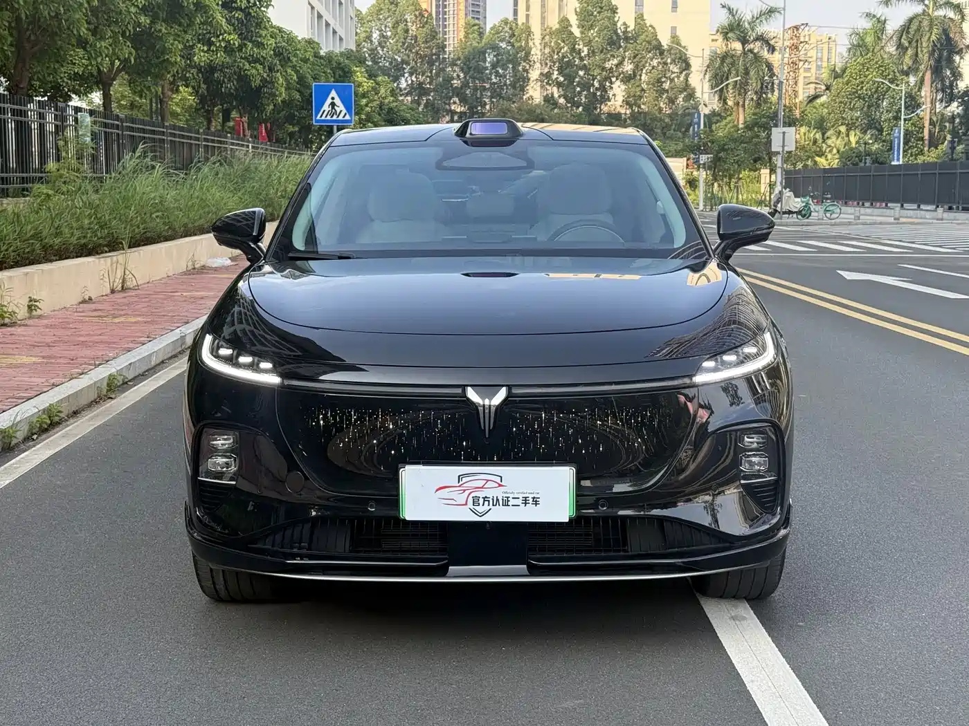 2025 Voyah Auto Voyah Zhiyin
