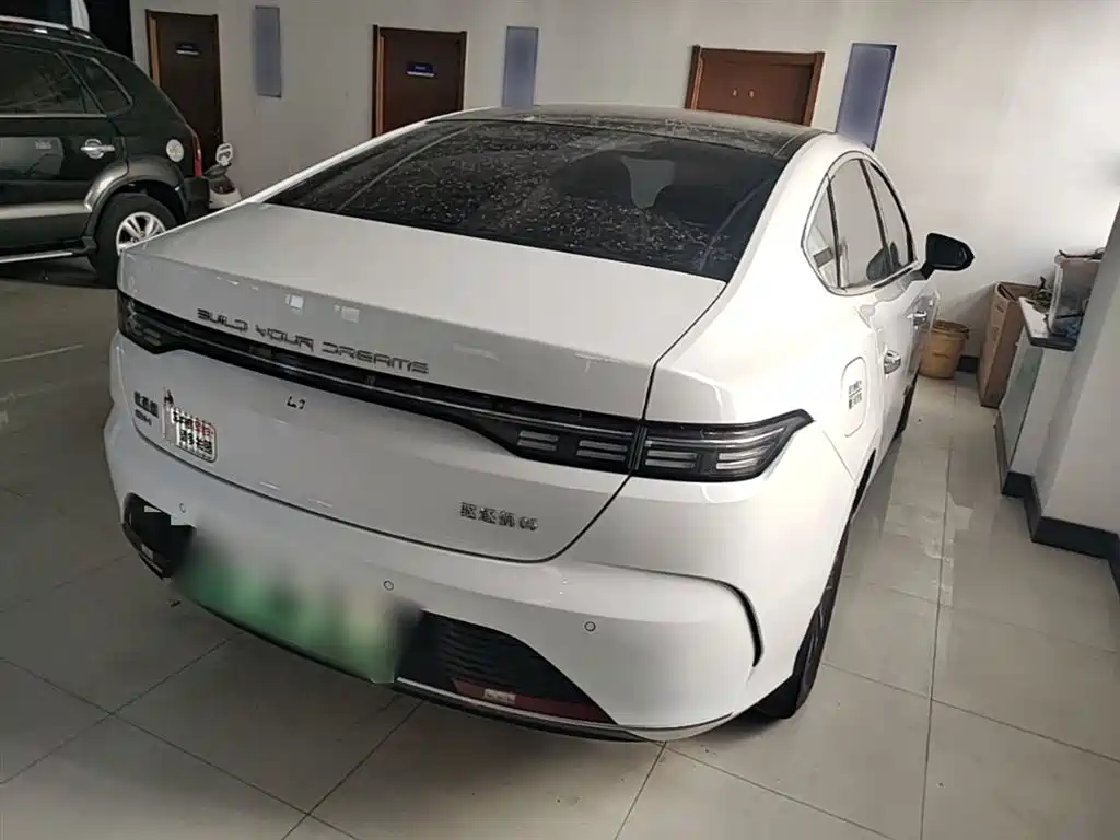 BYD Destroyer 05 2023 Champion Edition DM-i 55KM Luxury фото 7