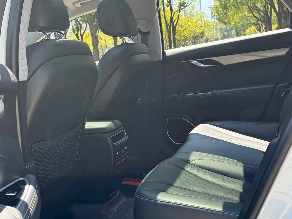 Geely Borui 2022 2021 1.8T Pilot Edition+