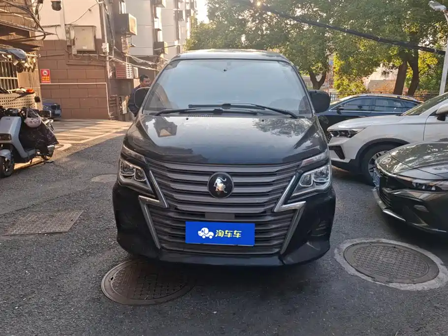 DONGFENG LINGZHI