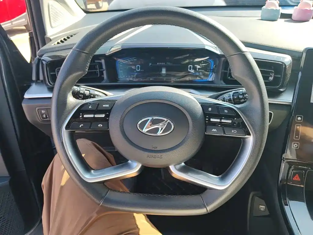 صورة 11 - Hyundai Custo