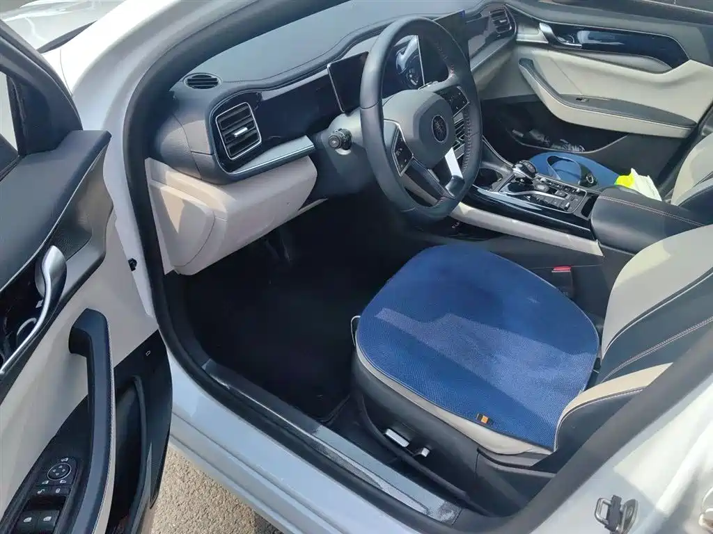 BYD Qin PLUS 2021 DM-i 55KM Flagship фото 13