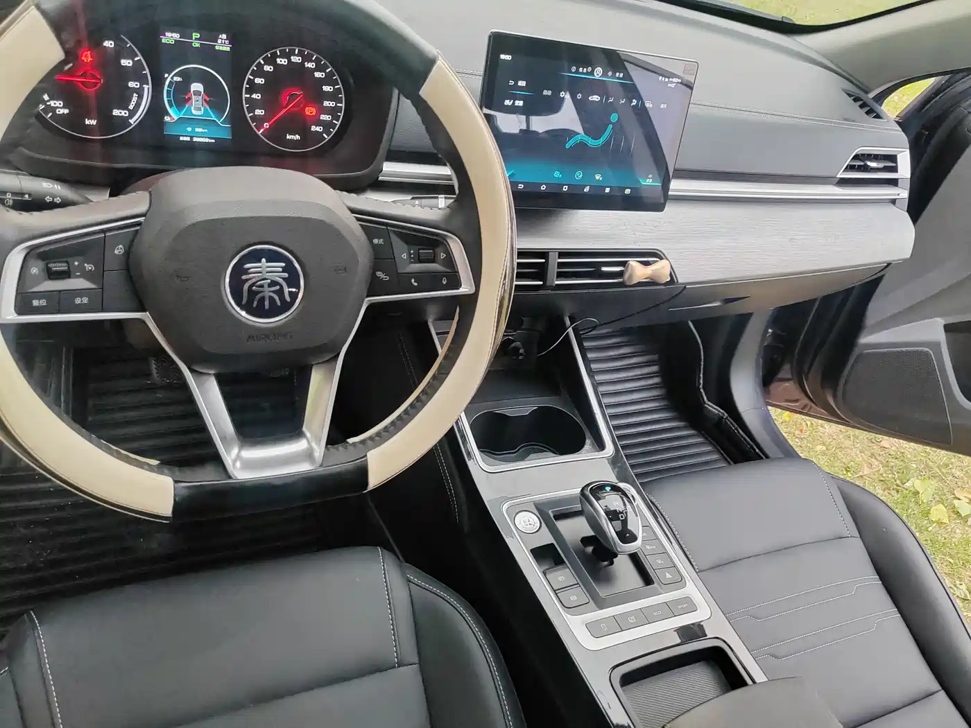 BYD Qin New Energy 2019 Long Range Edition Premium фото 18