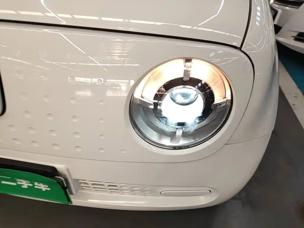 Ora Black Cat 2020 2019 301km Standard