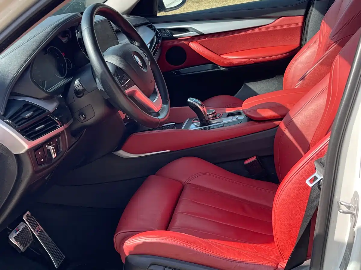 BMW X6 2017 xDrive35i Luxury фото 6