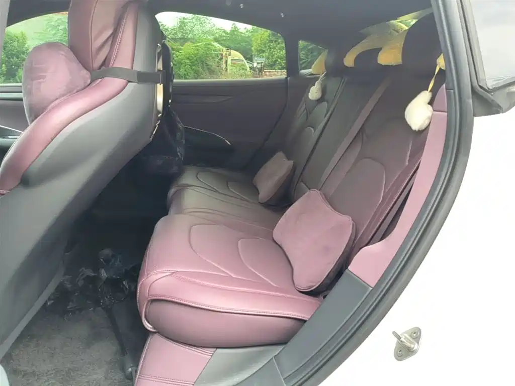 Xiaomi Auto Xiaomi SU7 2024 AWD Max Founder's Edition фото 13
