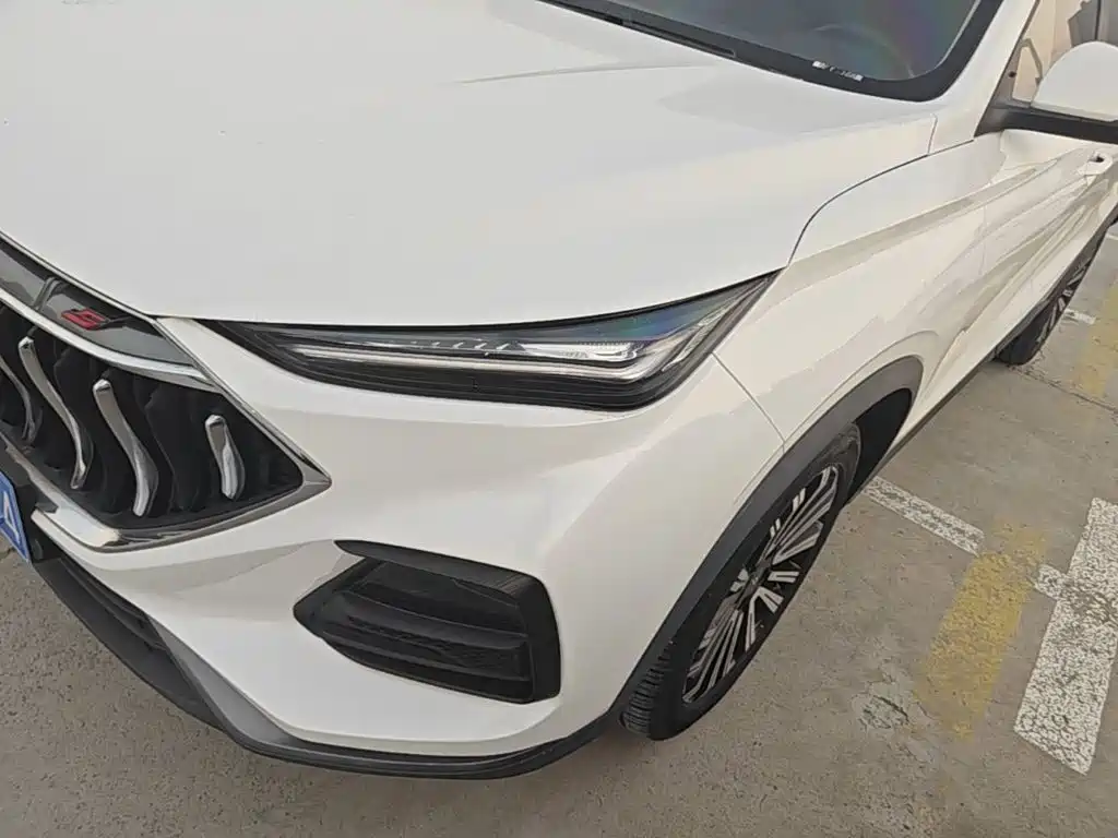 Changan Oshan Changan Oushang X5 2021 2021 1.5T DCT Premium