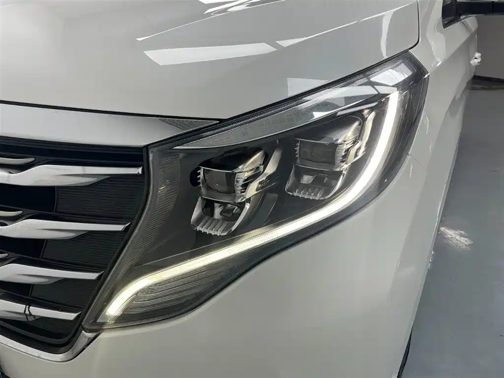 GAC Trumpchi Trumpchi M8 2019 320T Ultimate Edition фото 11