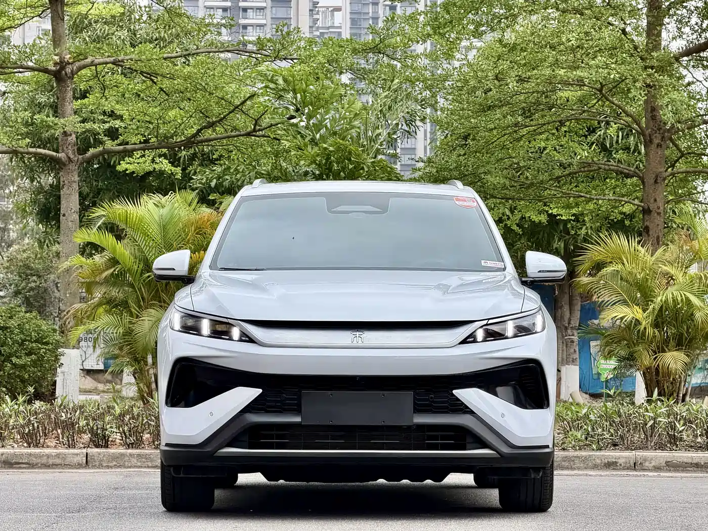 BYD Song Pro New Energy 2025 2nd Gen DM-i 115KM Surpassing Type фото 2