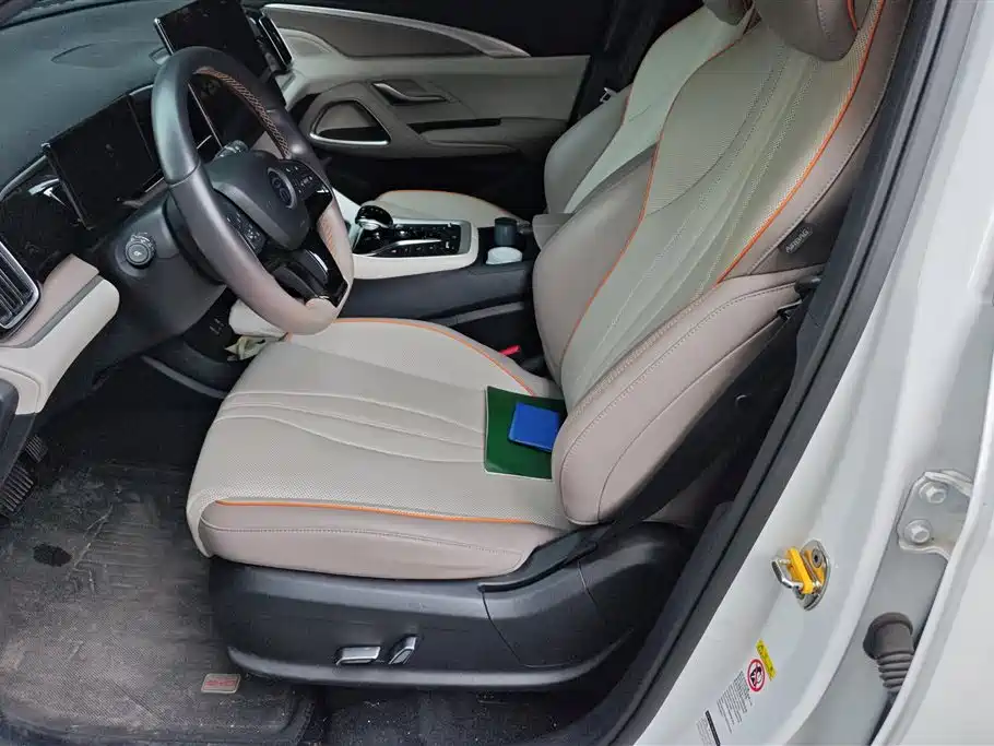 BYD Song Pro New Energy 2024 Glory Edition DM-i 110KM Excellence фото 9