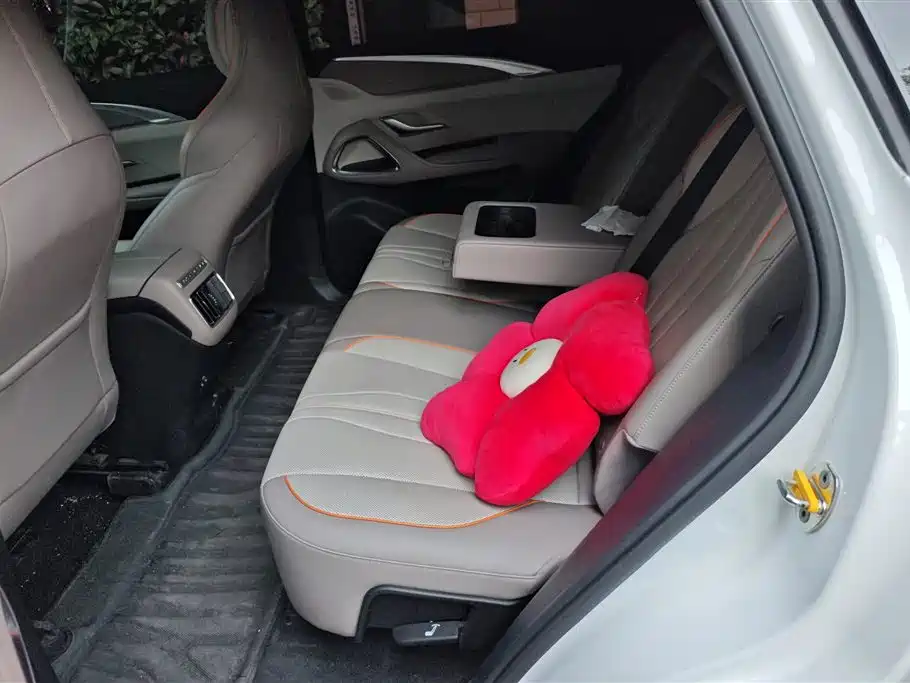 BYD Song Pro New Energy 2024 Glory Edition DM-i 110KM Excellence фото 11