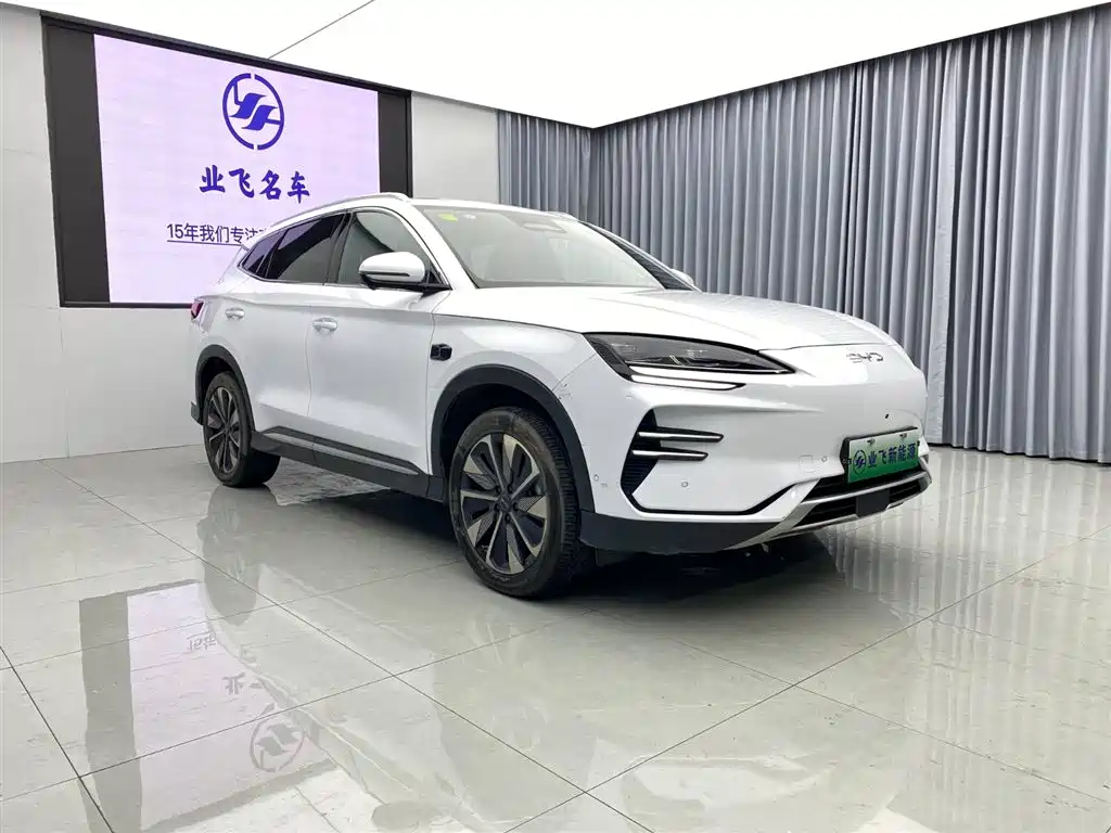 BYD SONGJIANG NEW ENERGY