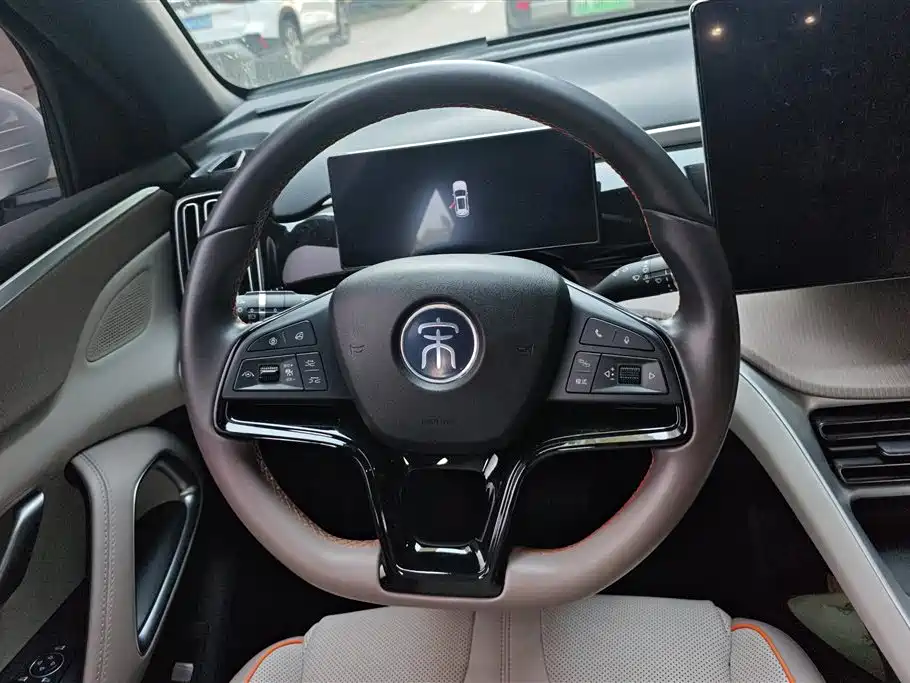 BYD Song Pro New Energy 2024 Glory Edition DM-i 110KM Excellence фото 15