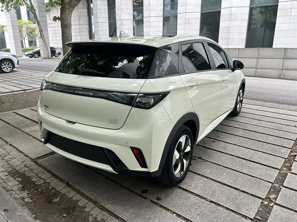 BYD Dolphin 2024 Glory Edition 420km Fashion Edition фото 3