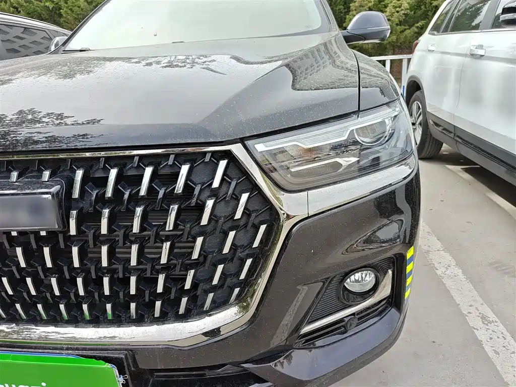 Haval H6 2023 National Trend Edition 1.5T Automatic Champion фото 3